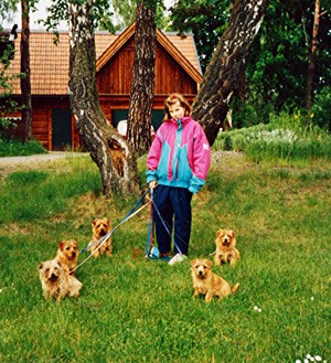 Anna-Karin o norfolk terriers